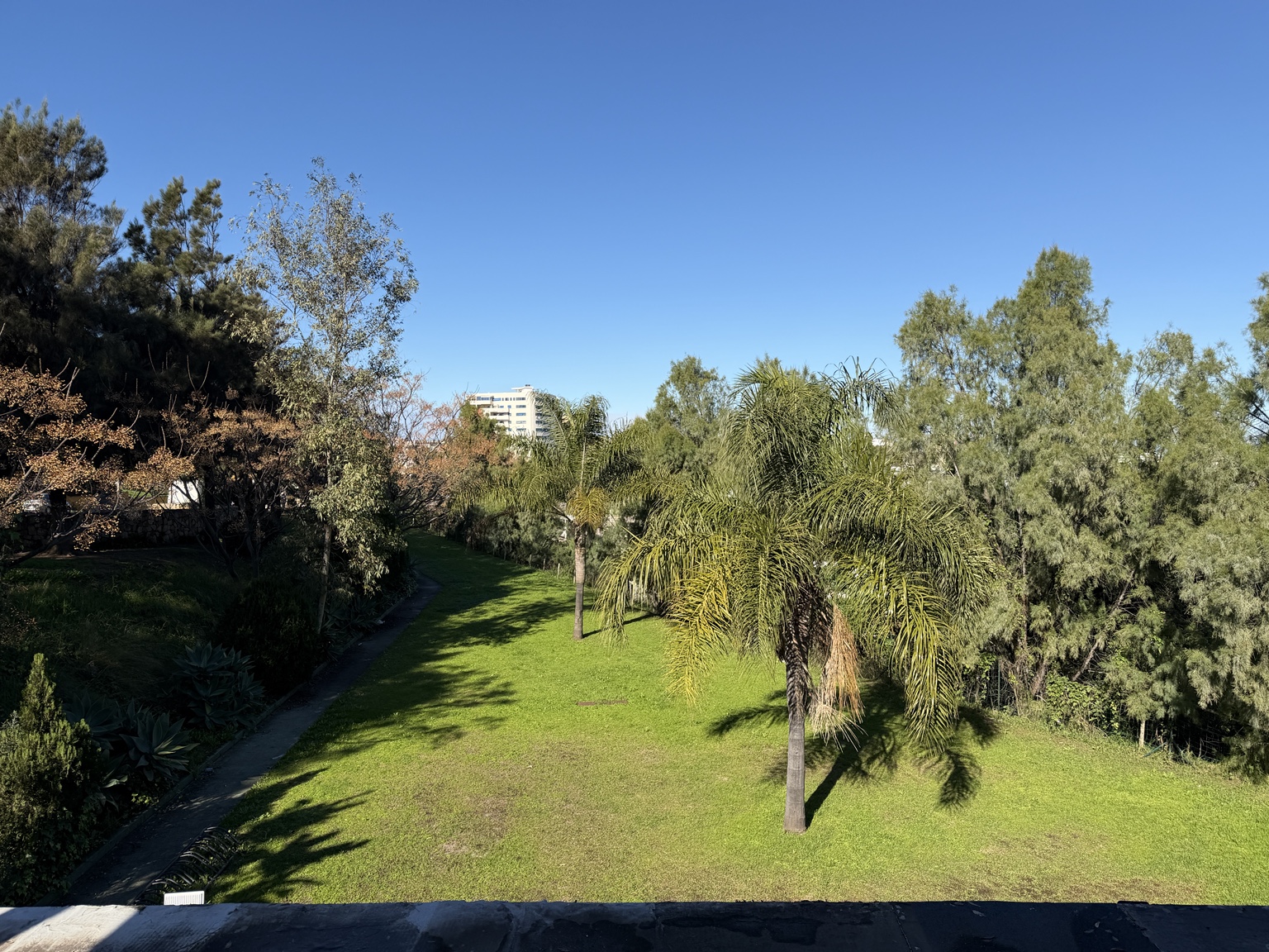 Jardín exterior de 9D WORKOUT